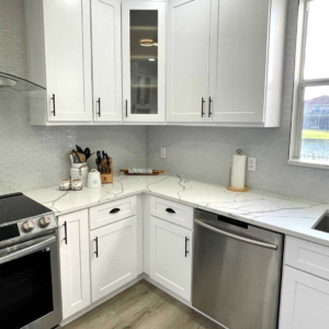 Kitchen remodel — MONIQUE 5